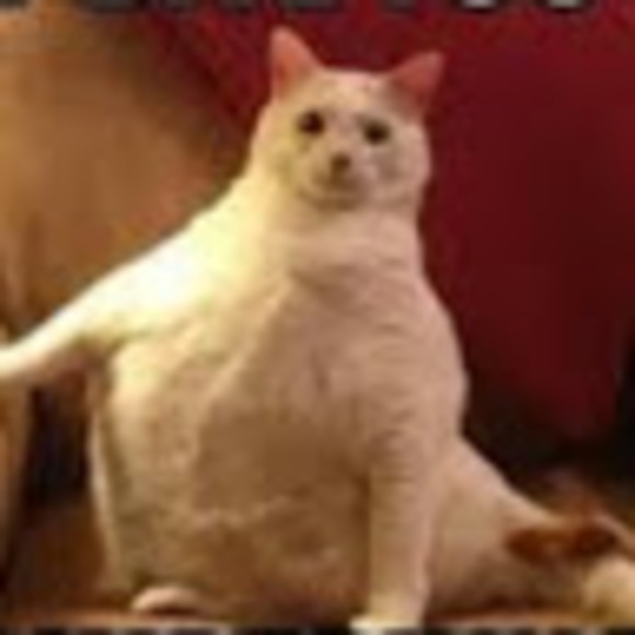 Meet your Posher, Edward - Picture 1 of 1